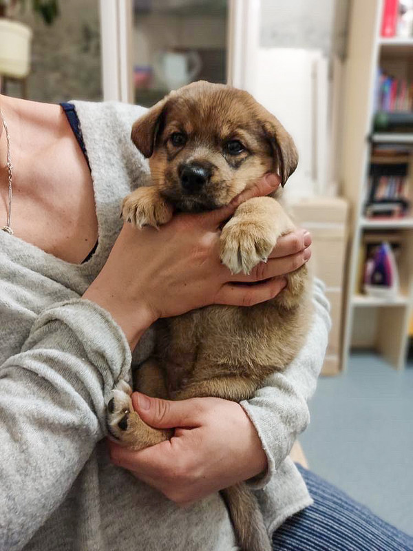 ABF0DA5C-D3ED-4512-AA9D-BEA8B1B12A9F