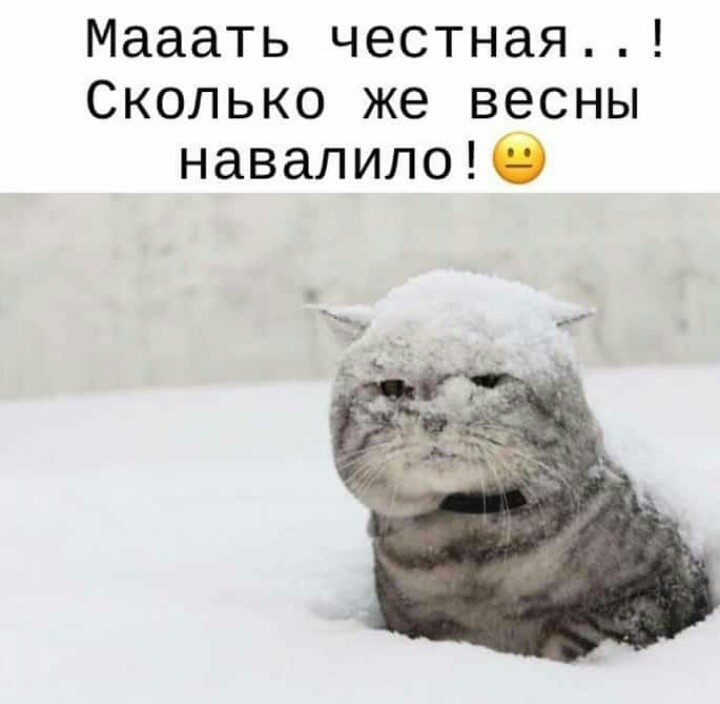 48550224-03C4-4AE9-839B-7D8B967459C3