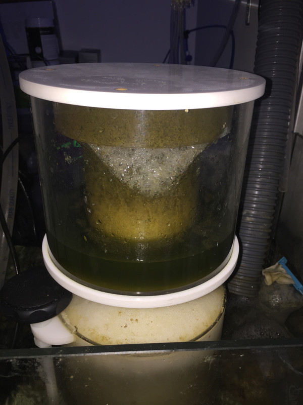 A3C83424-9C7C-4185-8258-8864763D06A6