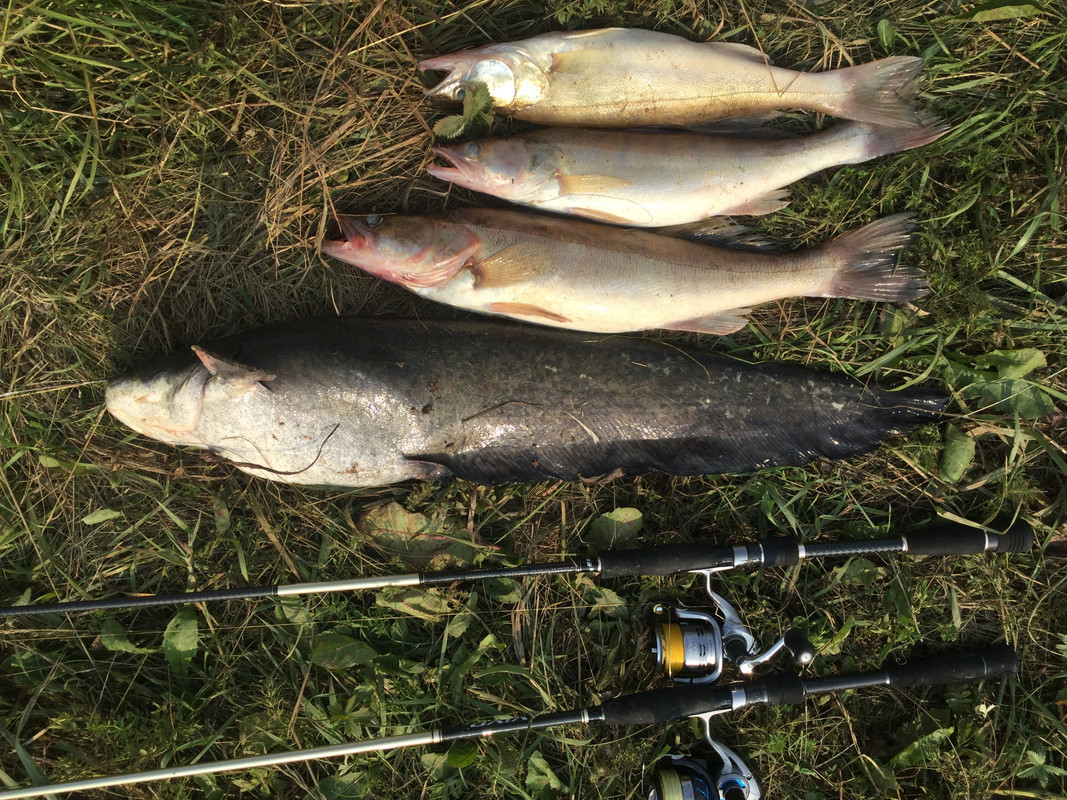 22 2 unsel Сергей Беликов (2)