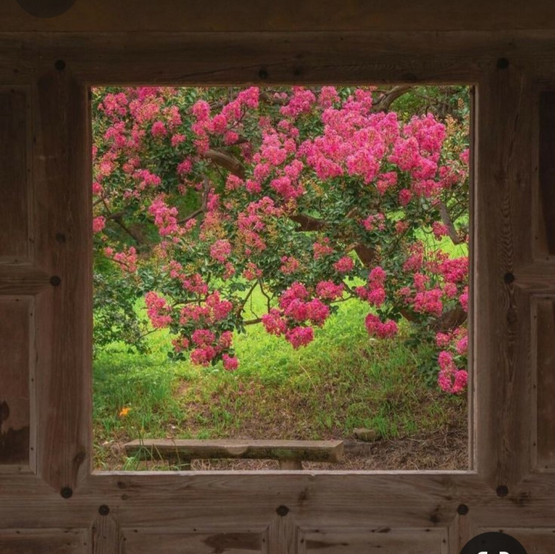 Screenshot_20240330_234338_Pinterest