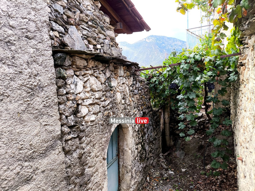 LADASIMG-20251012-114906