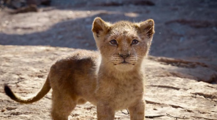 vlcsnap-2019-10-12-22h14m40s608