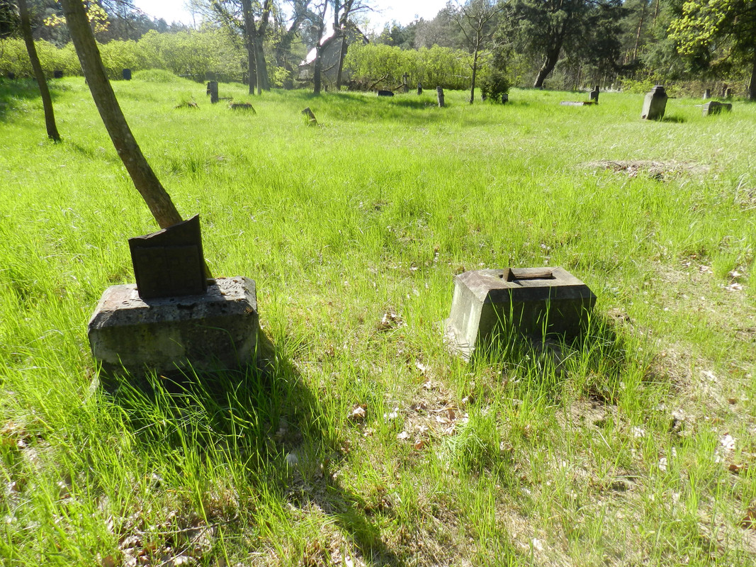 10a.06 - DSCN0079 (Milady)