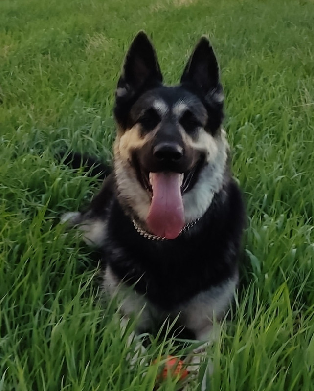 DpN3yS9UWIx7H91LYUvQBlKBOnG9rM7QdoYxrUc1_B1X29anan57qO5GQuBb-aXdMQ0mJH6cV1hTk-UMt6vQEw0N