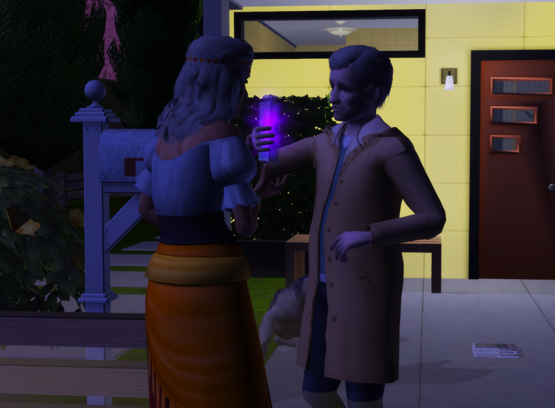 Sims2-EP9-RPC-2024-09-28-20-00-40-15