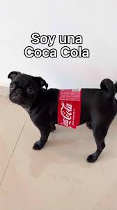 Perrihijo de la empresa Coca-cola es captado haciendo publicidad