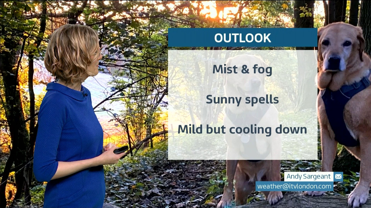 ITV News London_20211008_18001830.ts_snapshot_24.44.369