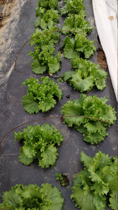 IMG 20251115 171004019