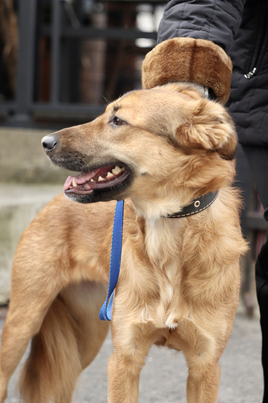 65349E41-EA61-411F-A404-EB9336FBB6B0