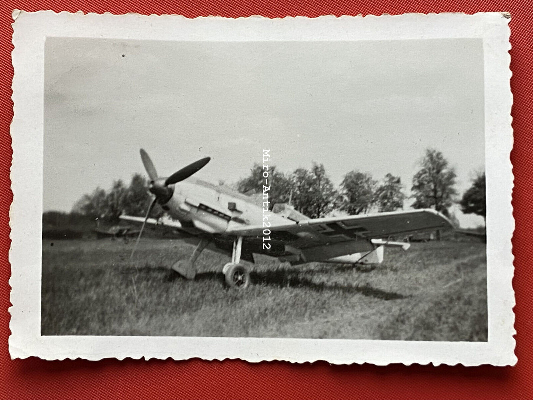 Foto, Wk2, Sturzkampfgeschwader 77, Messerschmitt Bf 109 (N)50753