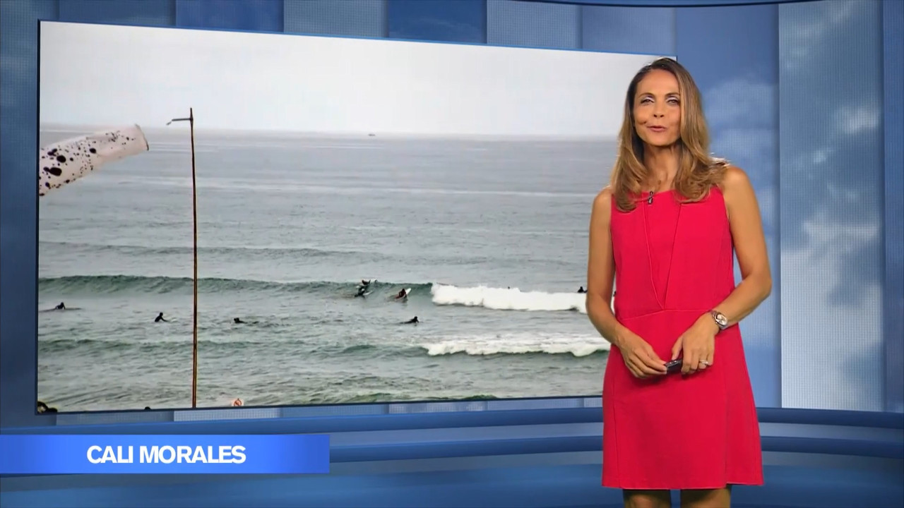 2021-08-19_20_15_M6Suisse_Meteo.mp4_snapshot_05.38.146