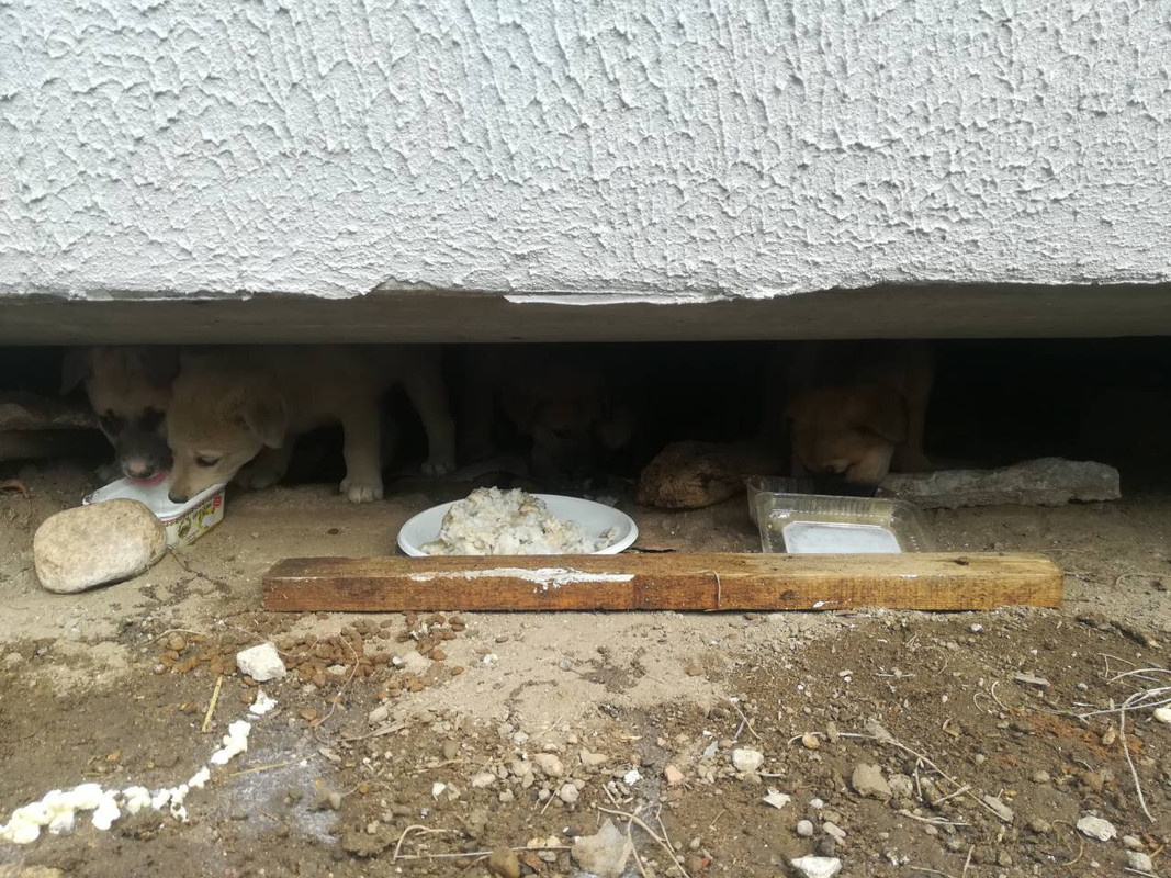 IMG_0353-27-10-18-02-44