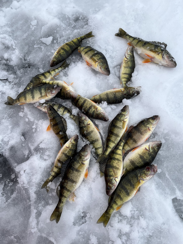 8C665C67-2F25-4EA5-AA31-5C622EB12D2F