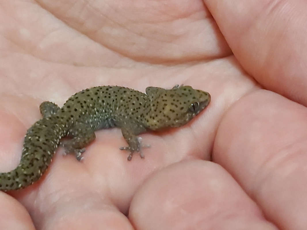 20200511_105458