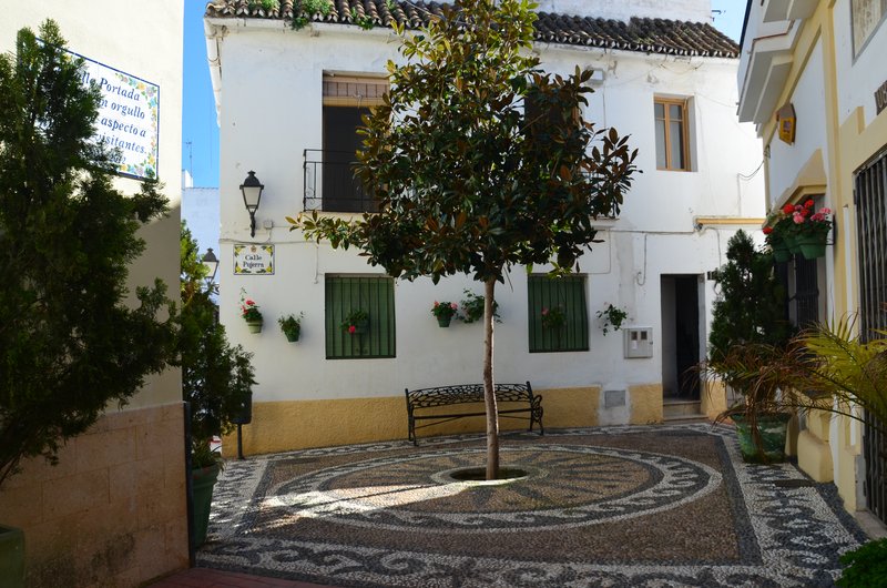 ESTEPONA-9-3-2017 - Málaga y sus pueblos-2009/2017 (194)