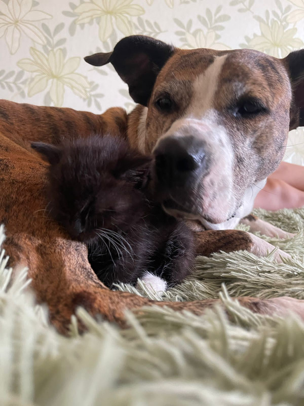 33144781-6236-41C5-A20D-1F416A0428FF