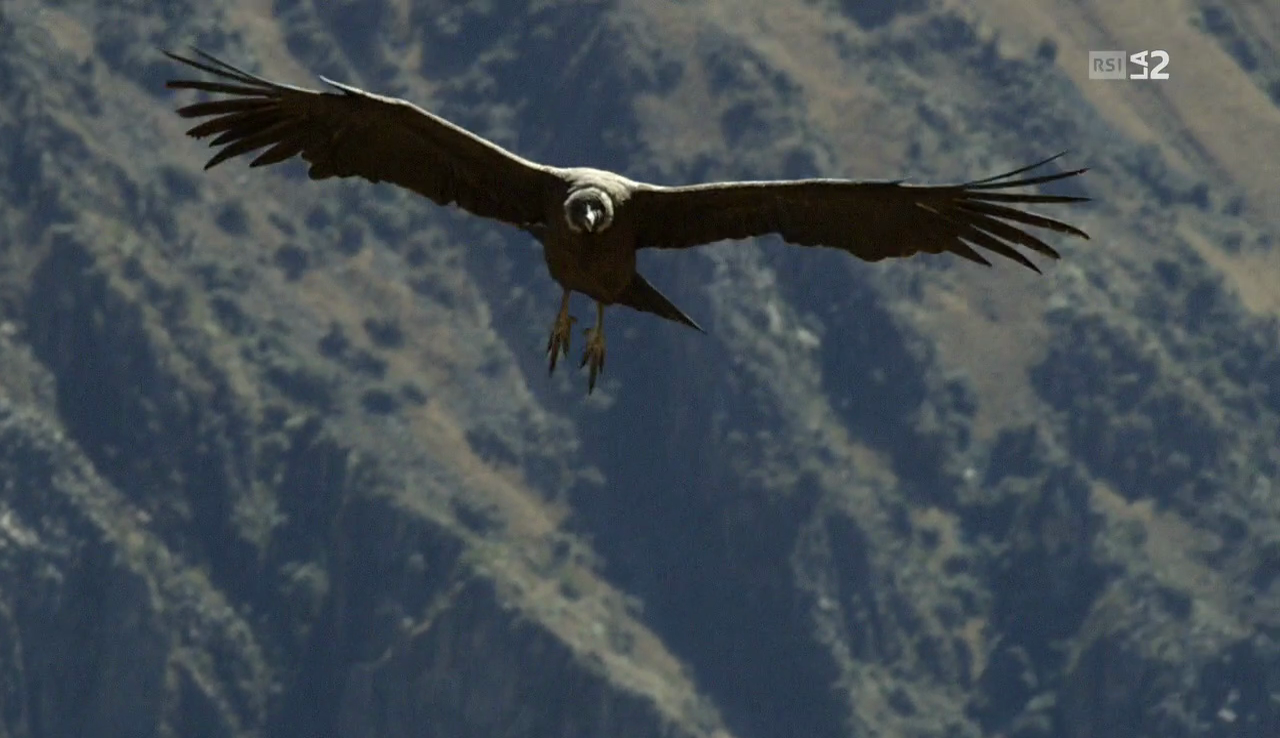 vlcsnap-2017-04-05-17h48m35s921