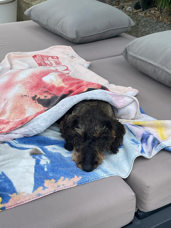 [Image: 60b77ea0-0af7-403f-8e35-ba641798143c.jpg]