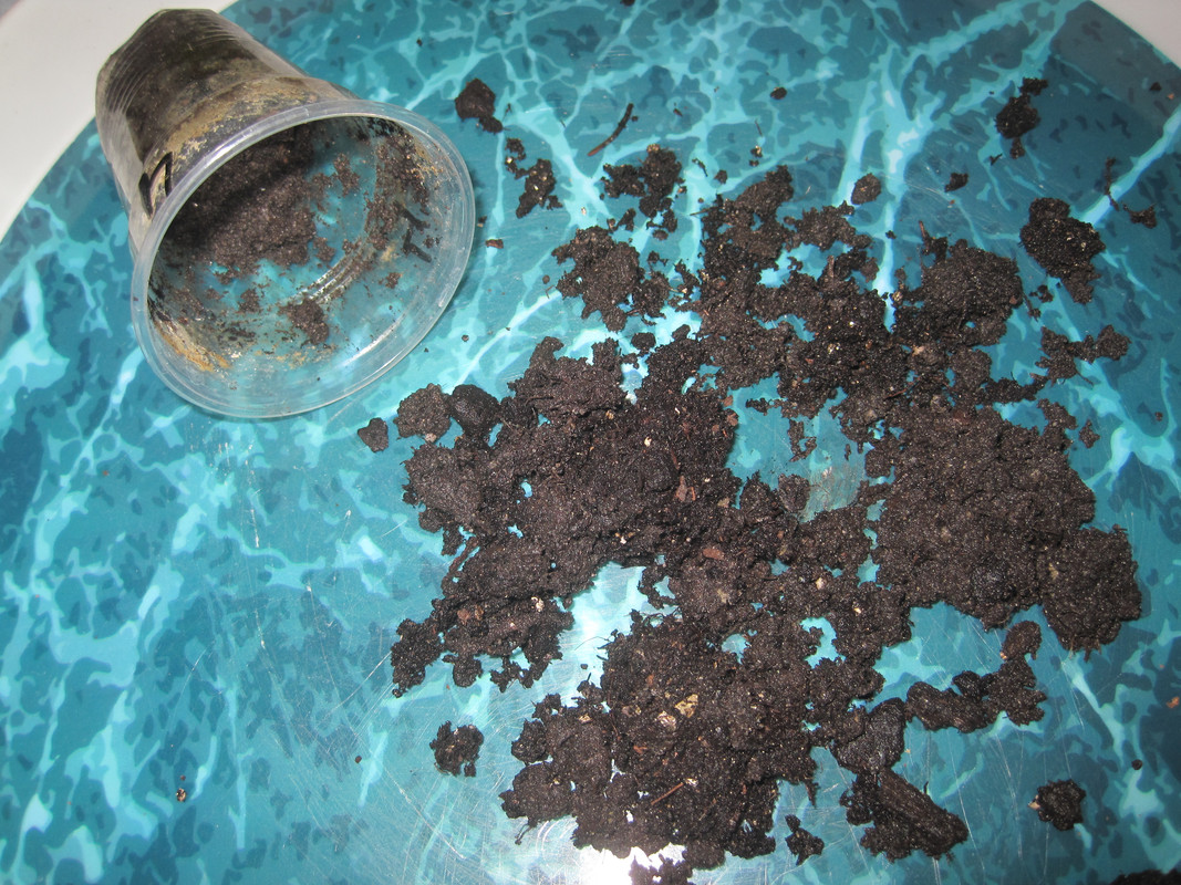 Был в тяжёлом мокром грунте