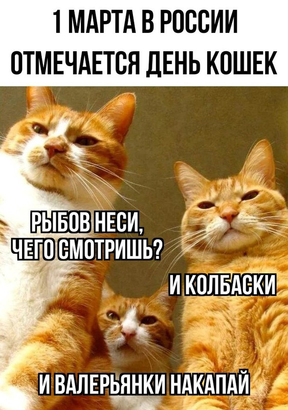 Кафе «У пани Сони»