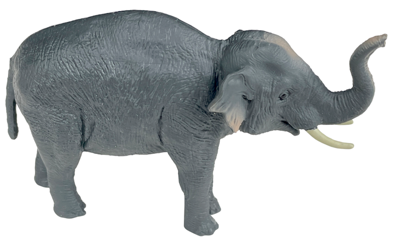 2023 Wildlife Figure of the Year, time for your choices! - Maximum of 5 Asian-Elephant-83244