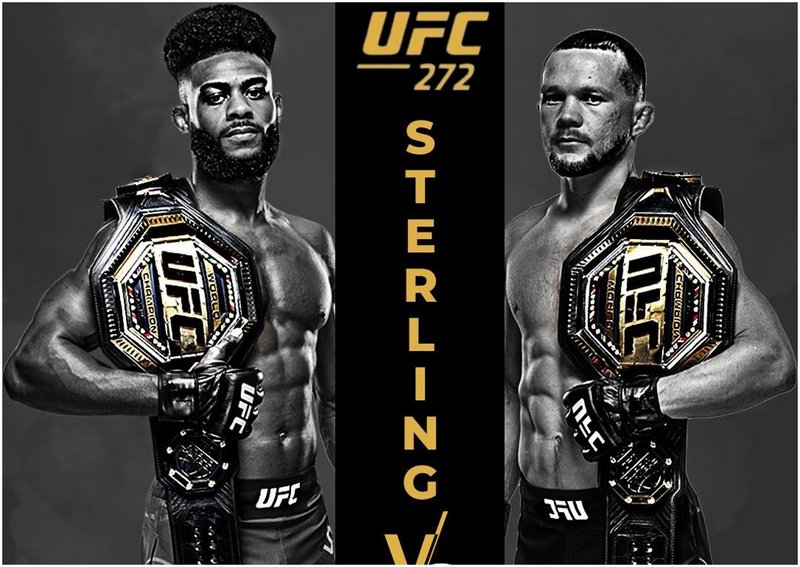 Пьотр Ян срещу Алджамейн Стърлинг 2 на UFC 272