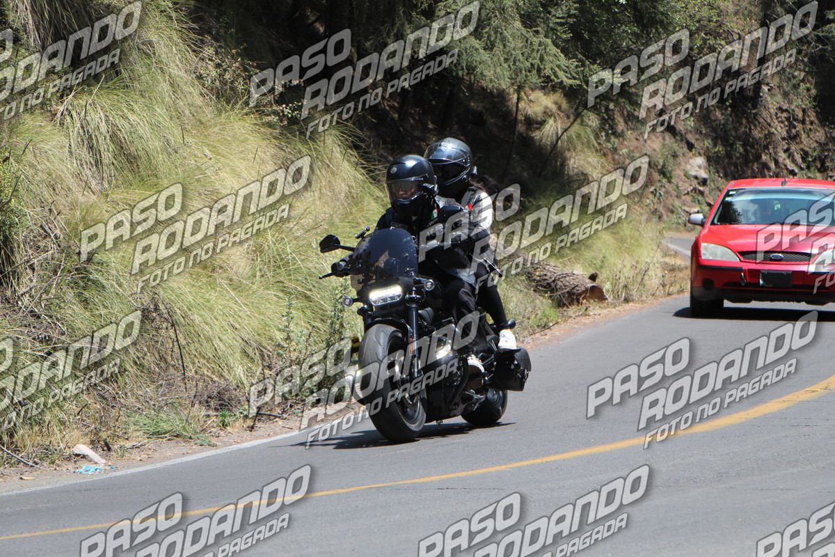 IMG 8601 wm 5726893 6 watermarked — Postimages