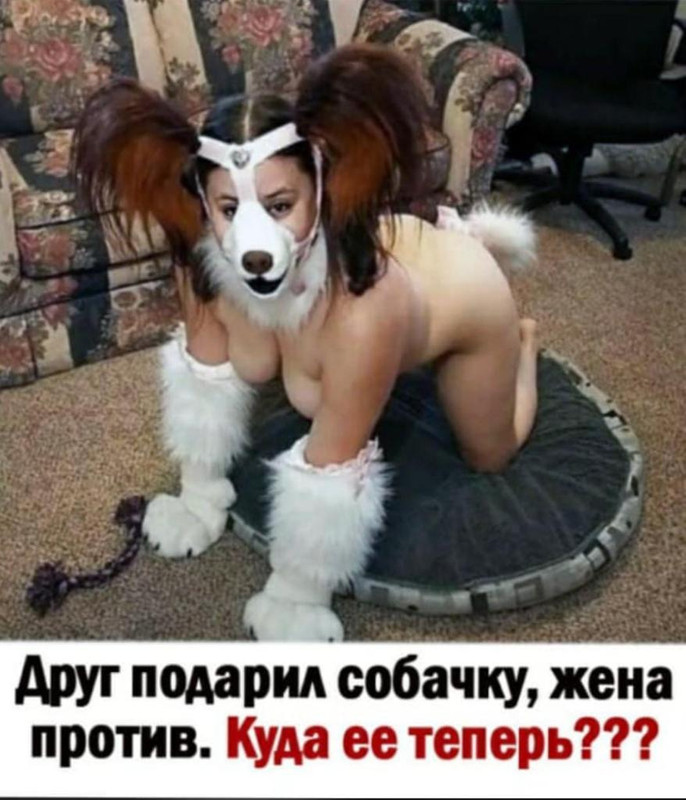 IMG-39c47491494f74c001b3d8a584ba8590-V