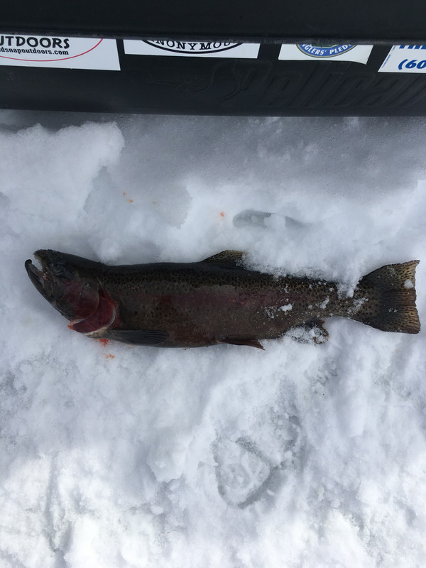 A7EC9BC8-7D45-440D-BEAA-FD0EF57A1E19