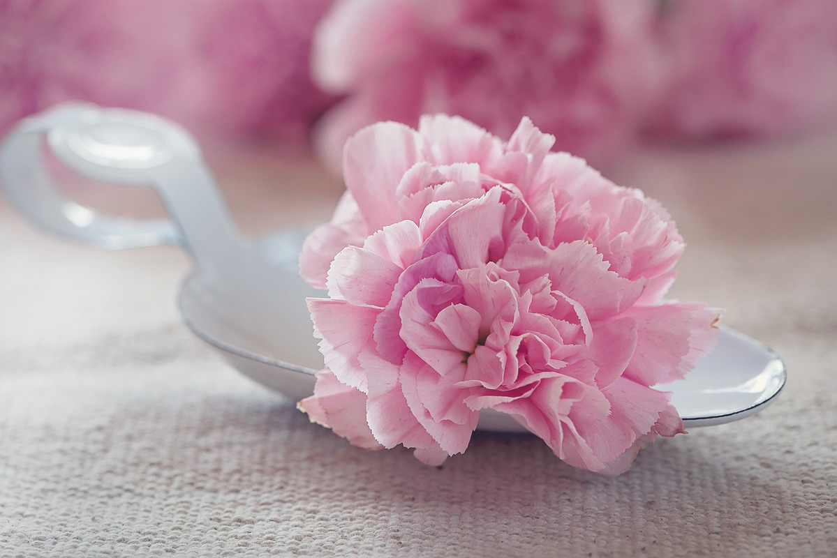 flowerpinkspoon.jpg