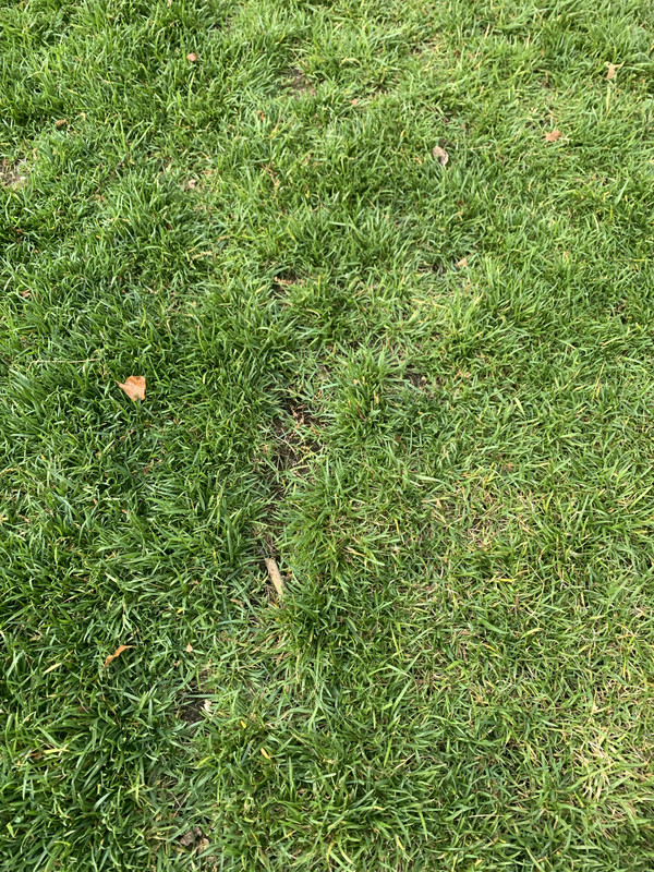 7DC05102-C81B-4A86-8476-59A7EEC8A175