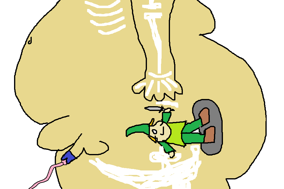 drachenlordanatomie.png