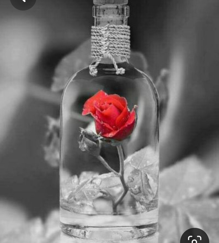 Screenshot_20230409_230336_Pinterest