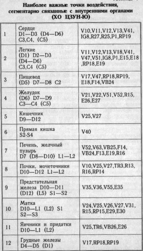 БАТ-СПИНА 006-1