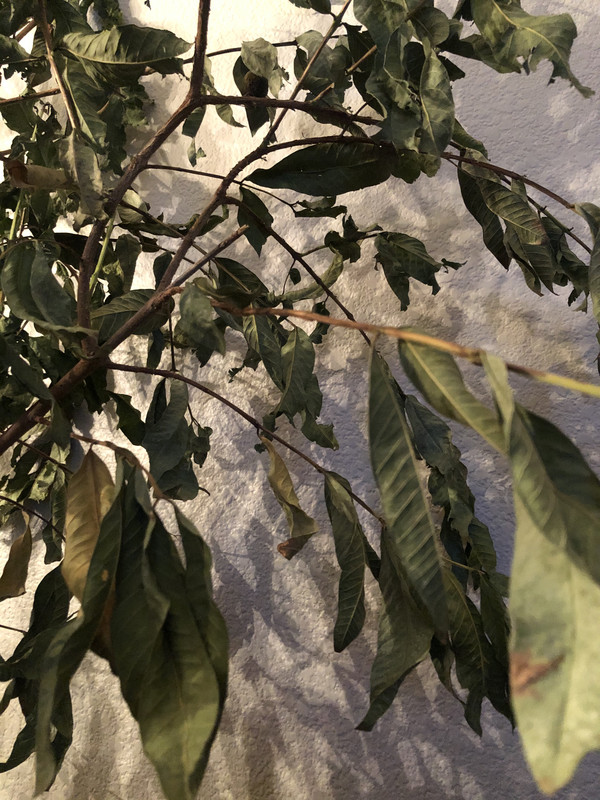 3B72D5F8-02E0-4B47-AD95-BE28DC57B8FE