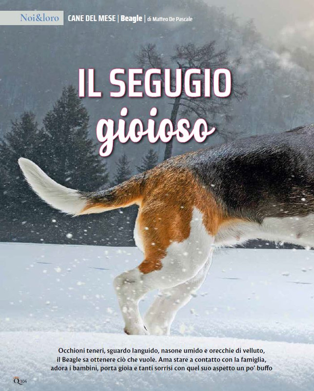 QuattroZampe Dic 2022-Gen 2023 (3)