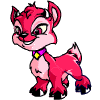 neopet