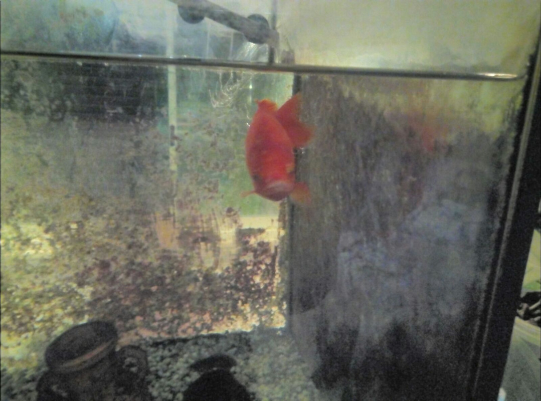 WhatsApp Image 2018-01-12 at 19.38.15(1)