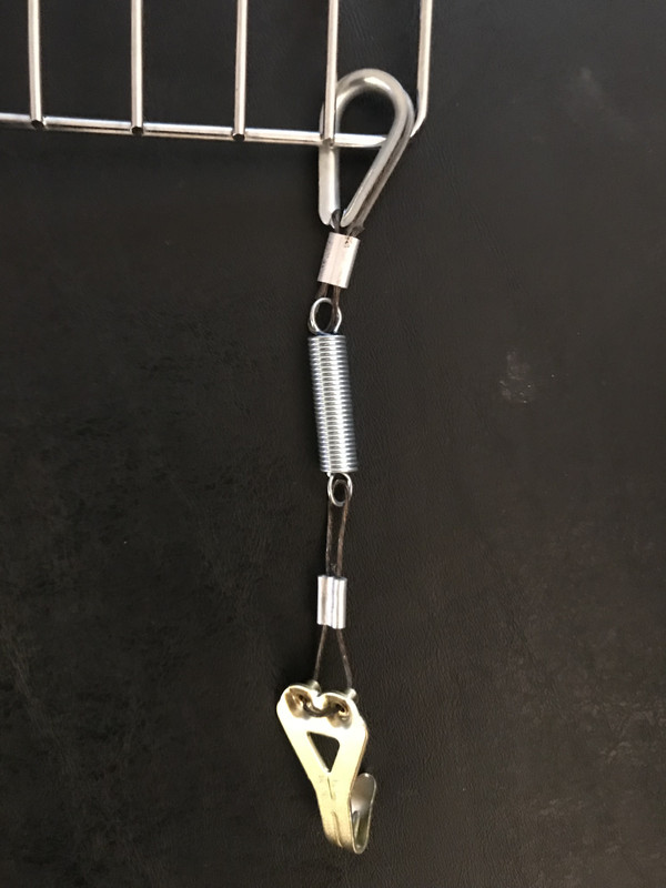 F17C5DCB-D87B-4651-86DF-F3F0FA3B9870