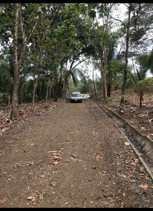 Thumbnail 3 of Land in Esterillos Oeste