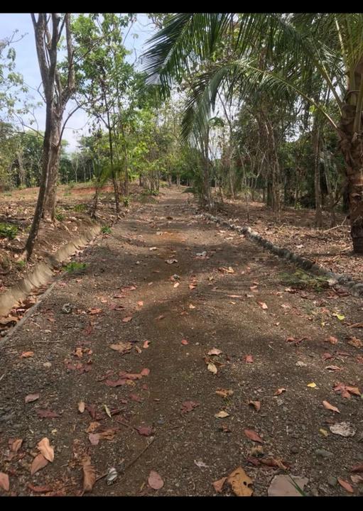 Thumbnail 2 of Land in Esterillos Oeste