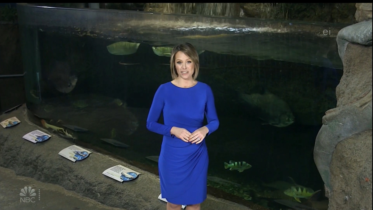 11.07 - 15.00.00 - Earth Odyssey With Dylan Dreyer. The world's smart....ts_snapshot_00.14.54.551
