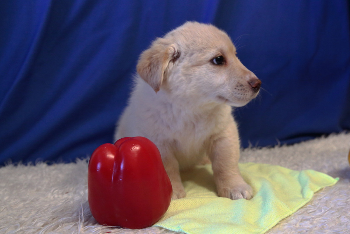 052C7661-E2DF-4AEA-8282-6C704D756FBA