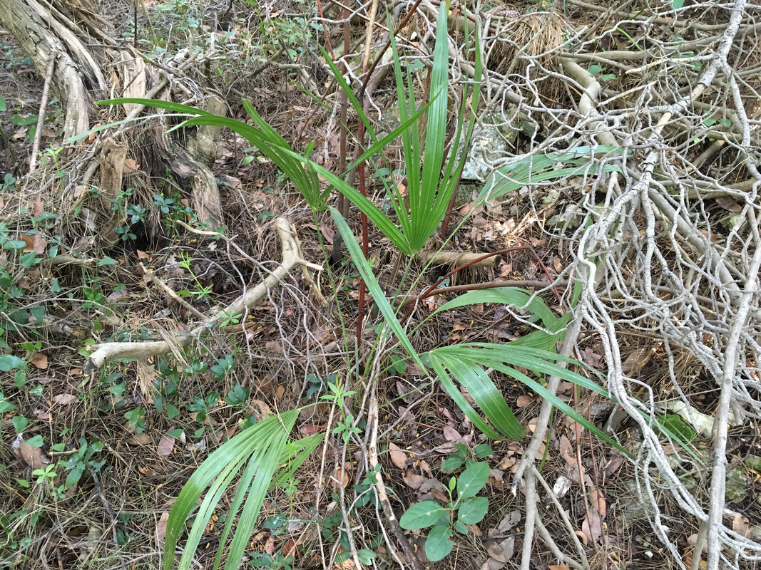 84E32410-EC9F-45F1-ADA3-04A40612EAC8