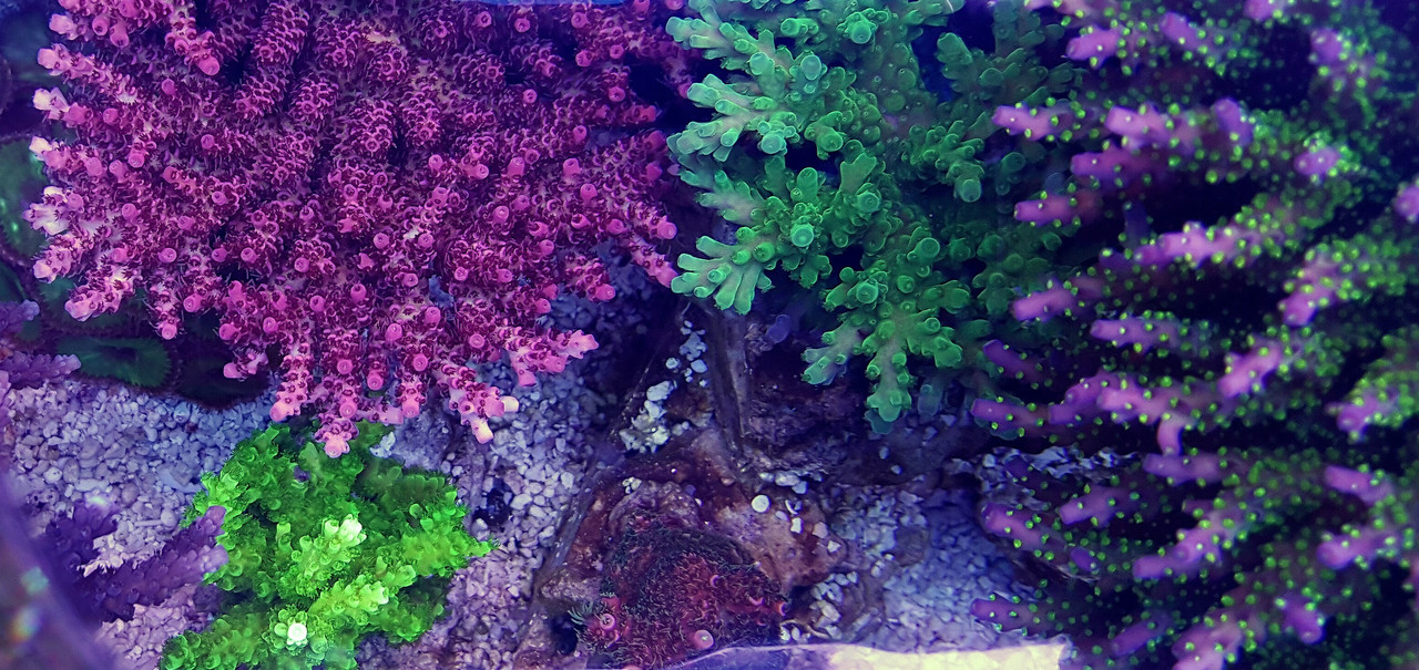 20150623_064304_PerfectlyClear