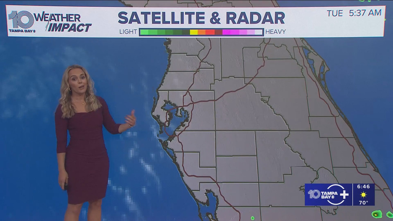 10 Tampa Bay News This Morning at 600 a m 20251125 11001200 ts snapshot 47 16 737