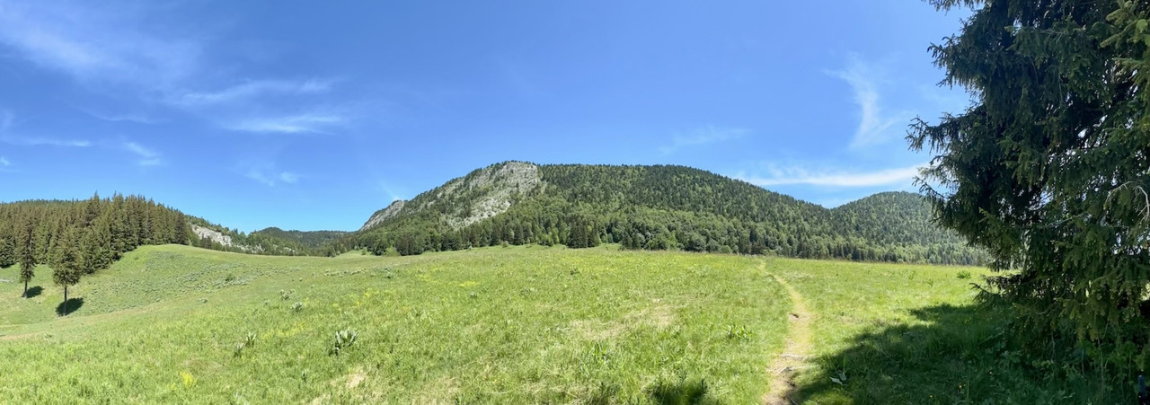 https://i.postimg.cc/ZnMB247Q/Capture-d-e-cran-2026-06-06-a-18-27-04.jpg