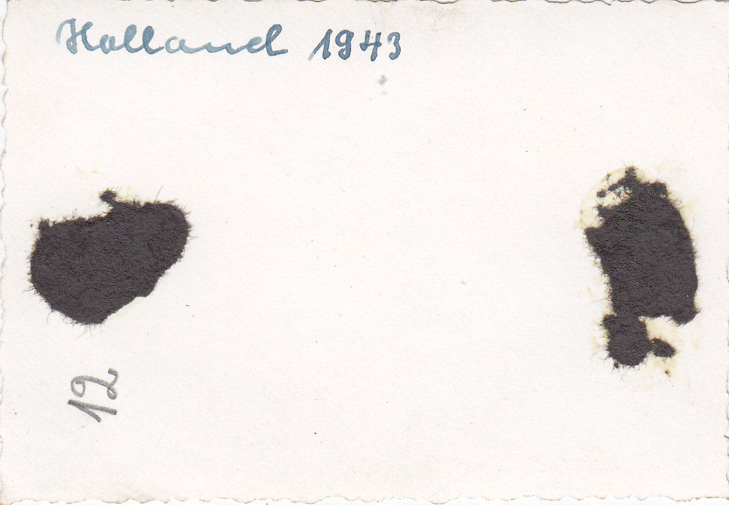 Nashorn     11-2     Pz.Jg.Abt. 519   1943