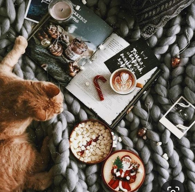 Screenshot_20231120_221225_Pinterest